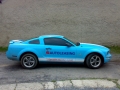 Ford Mustang - protislunecni autofolie Llumar AT5,15